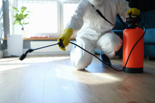 Best Flea Control Services  in Warm Springs, OR