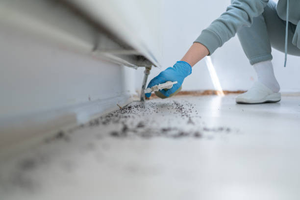 Best Wildlife Control Services  in Warm Springs, OR